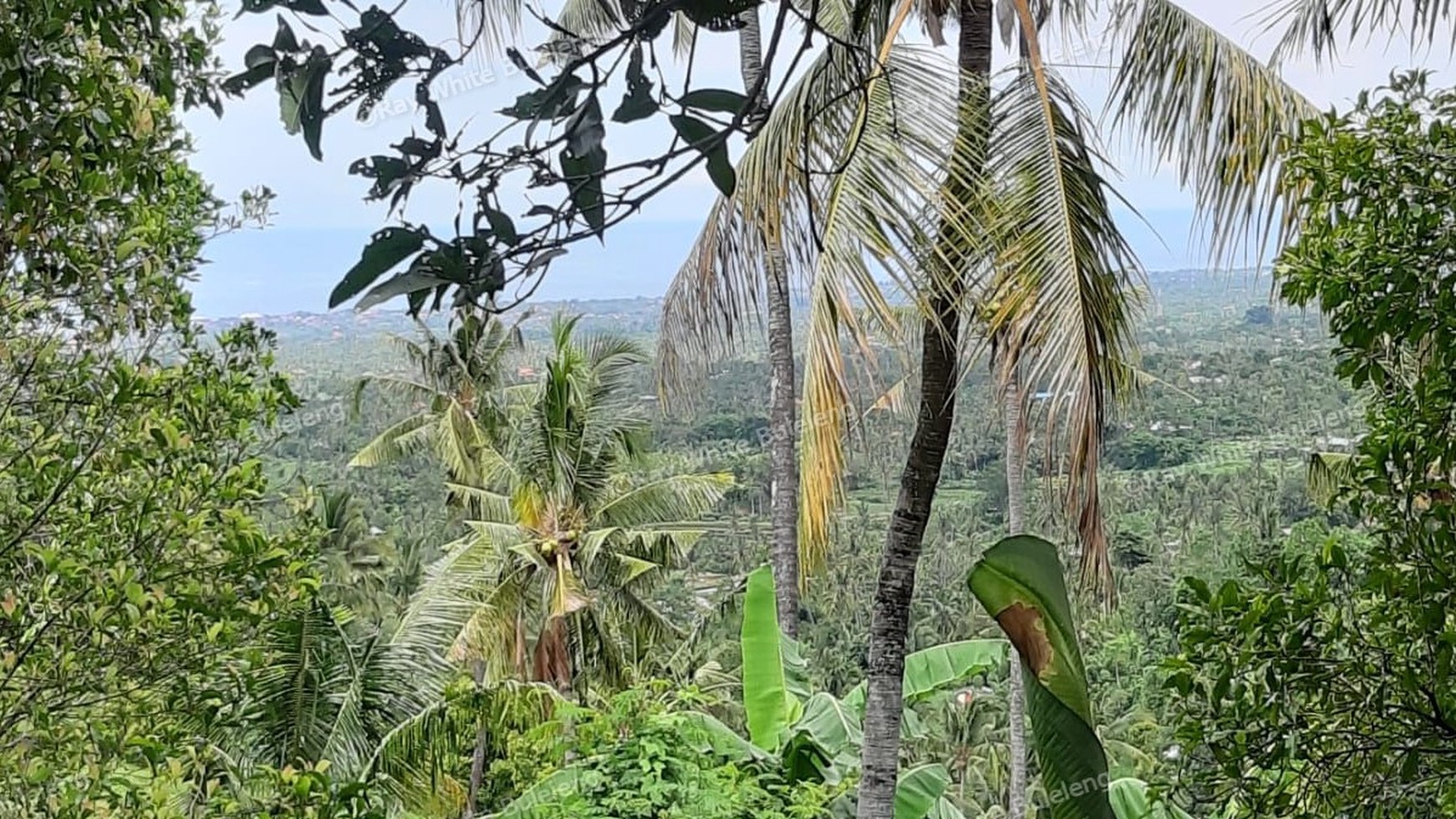 Sea View Land For Sale!
