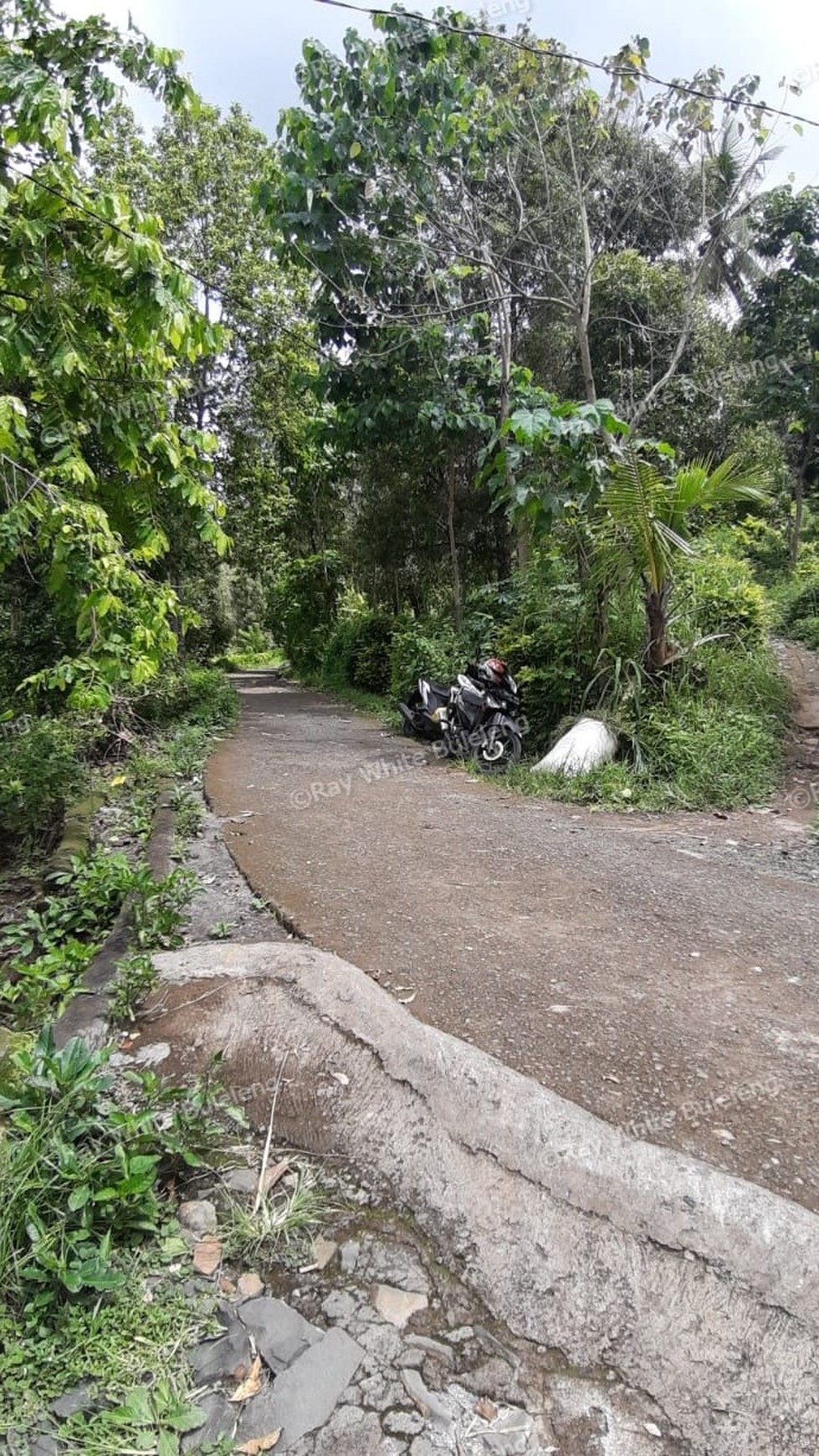 Sea View Land For Sale!