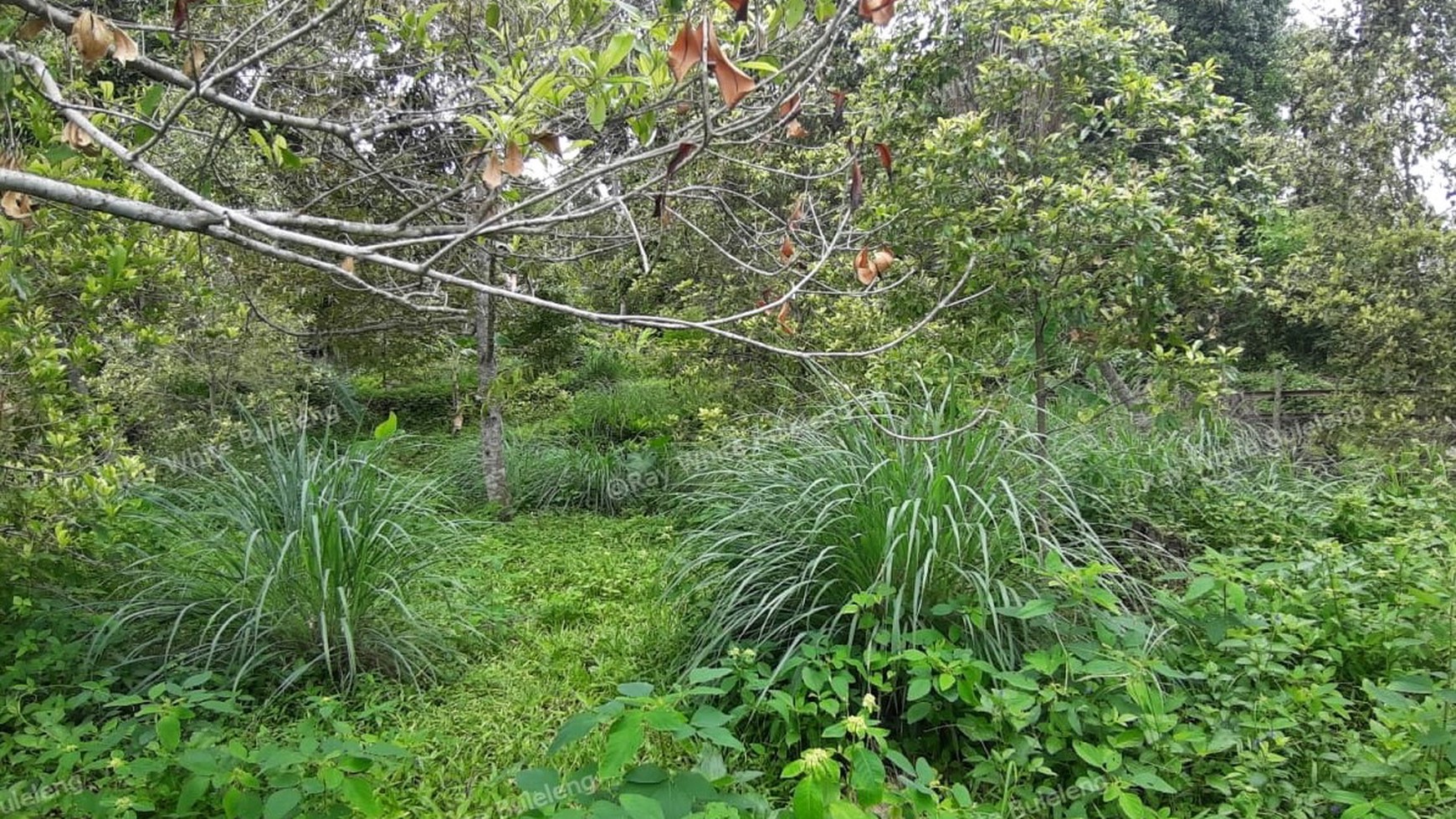 Sea View Land For Sale!