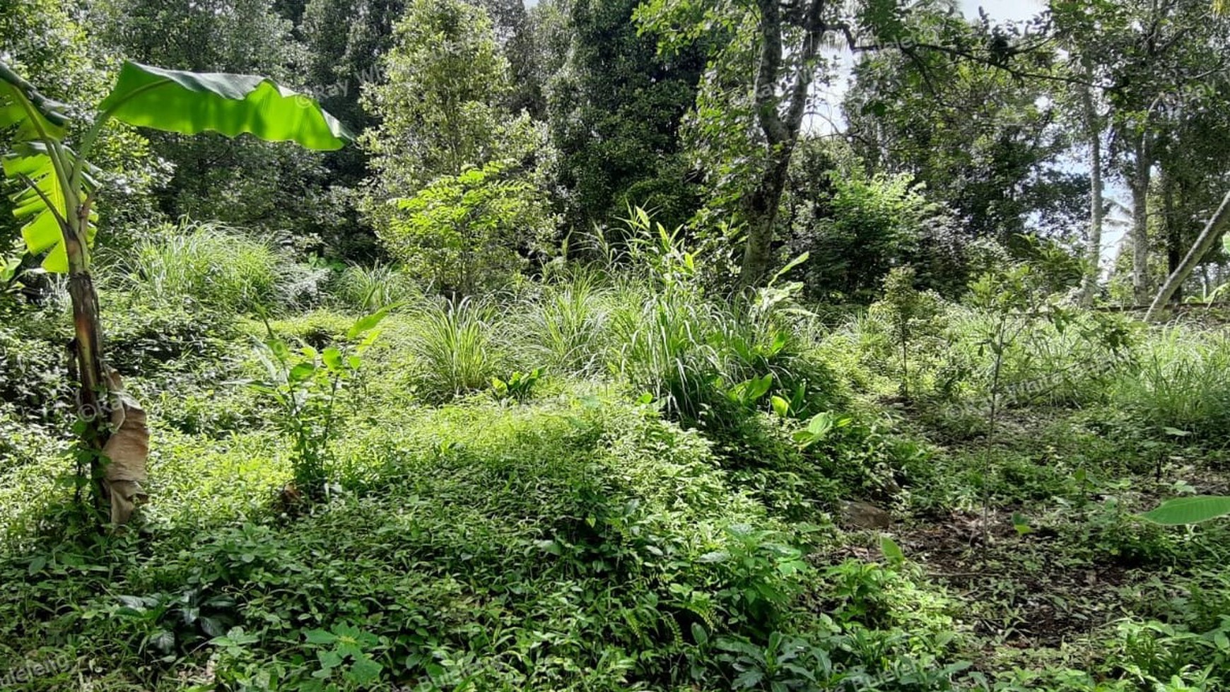 Sea View Land For Sale!