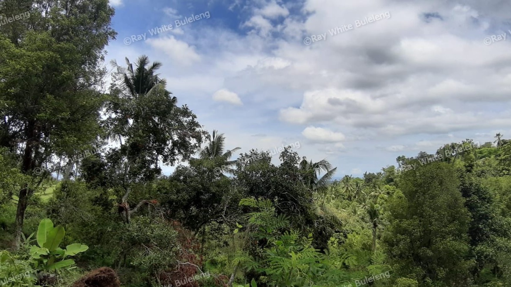 Sea View Land For Sale!