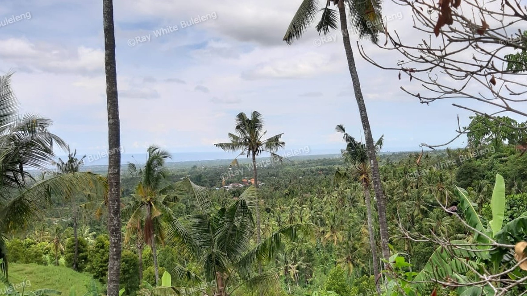 Sea View Land For Sale!