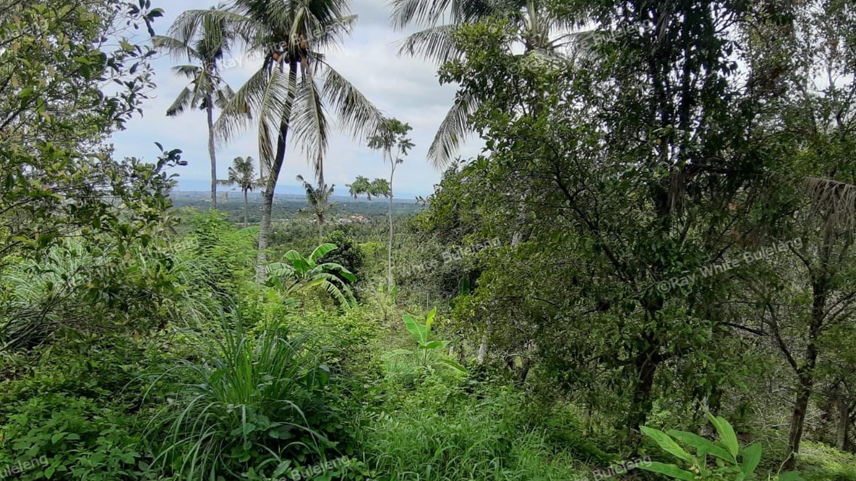 Sea View Land For Sale!