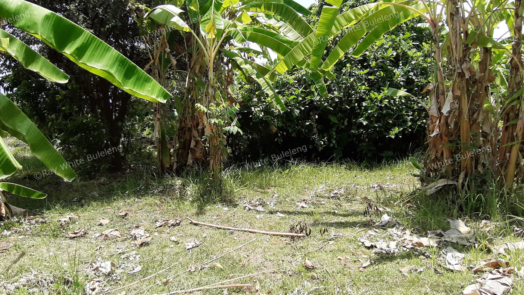 235 M2 Land For Sale in Kalibukbuk Village, Lovina Area