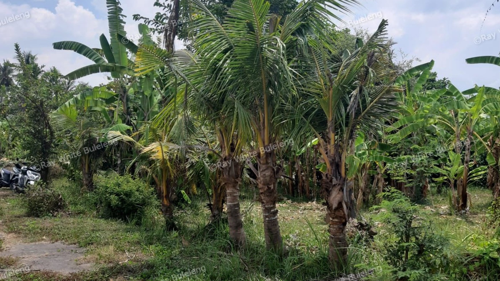 235 M2 Land For Sale in Kalibukbuk Village, Lovina Area