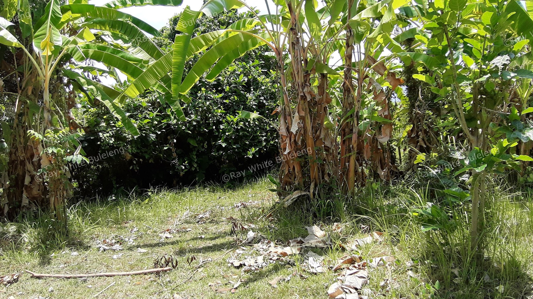 235 M2 Land For Sale in Kalibukbuk Village, Lovina Area