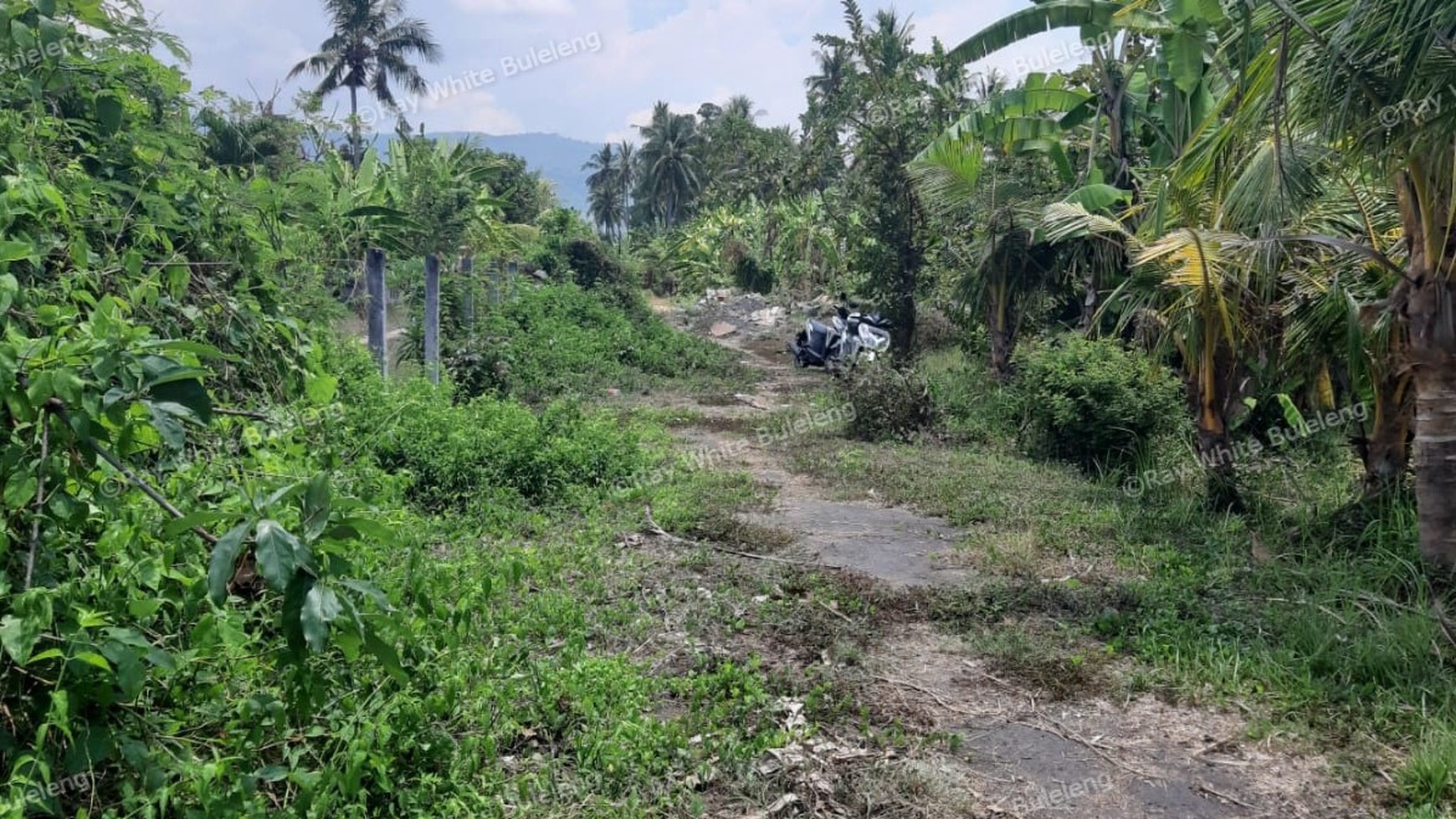 235 M2 Land For Sale in Kalibukbuk Village, Lovina Area
