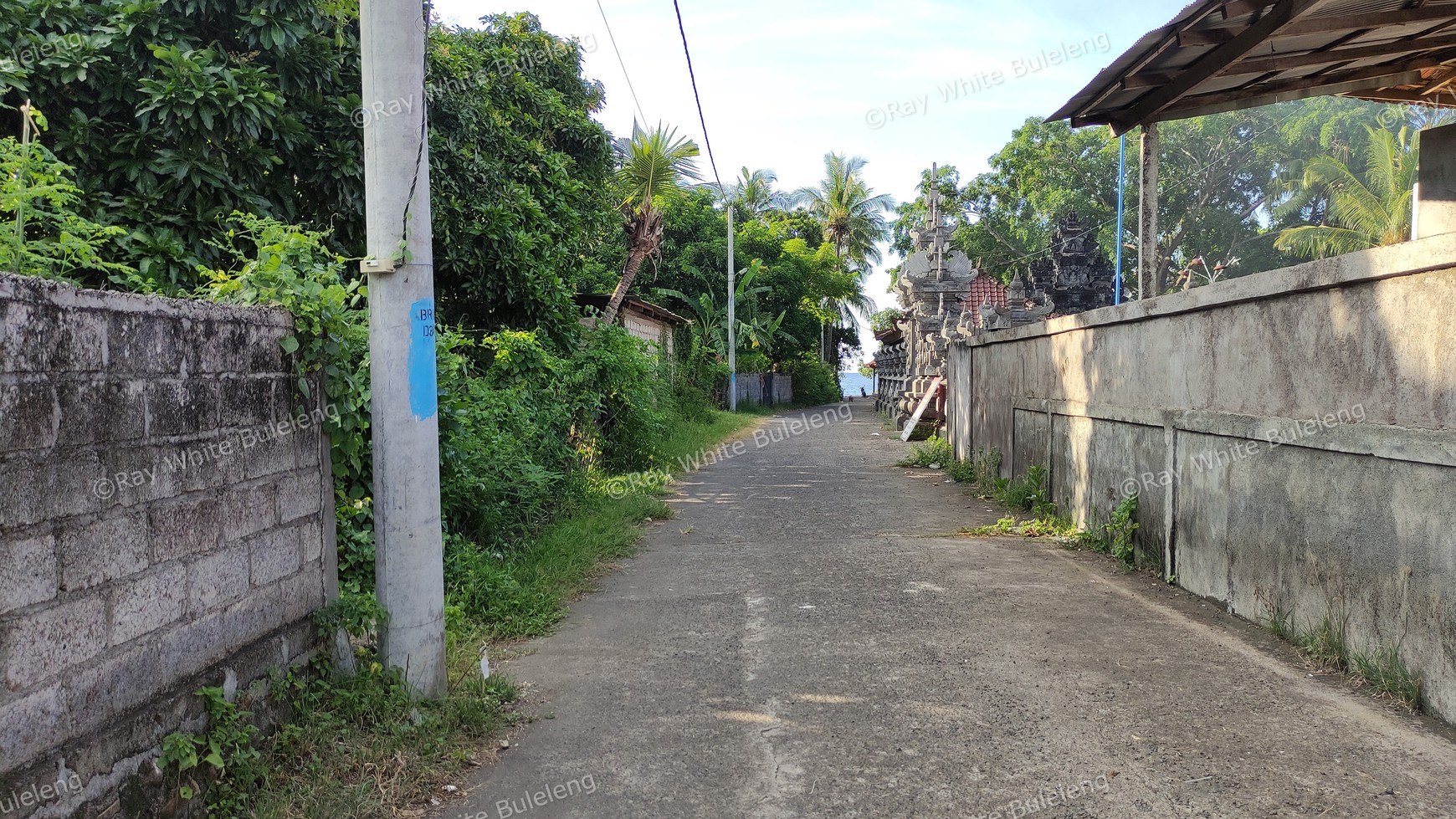 LAND FOR SALE IN LOVINA AREA