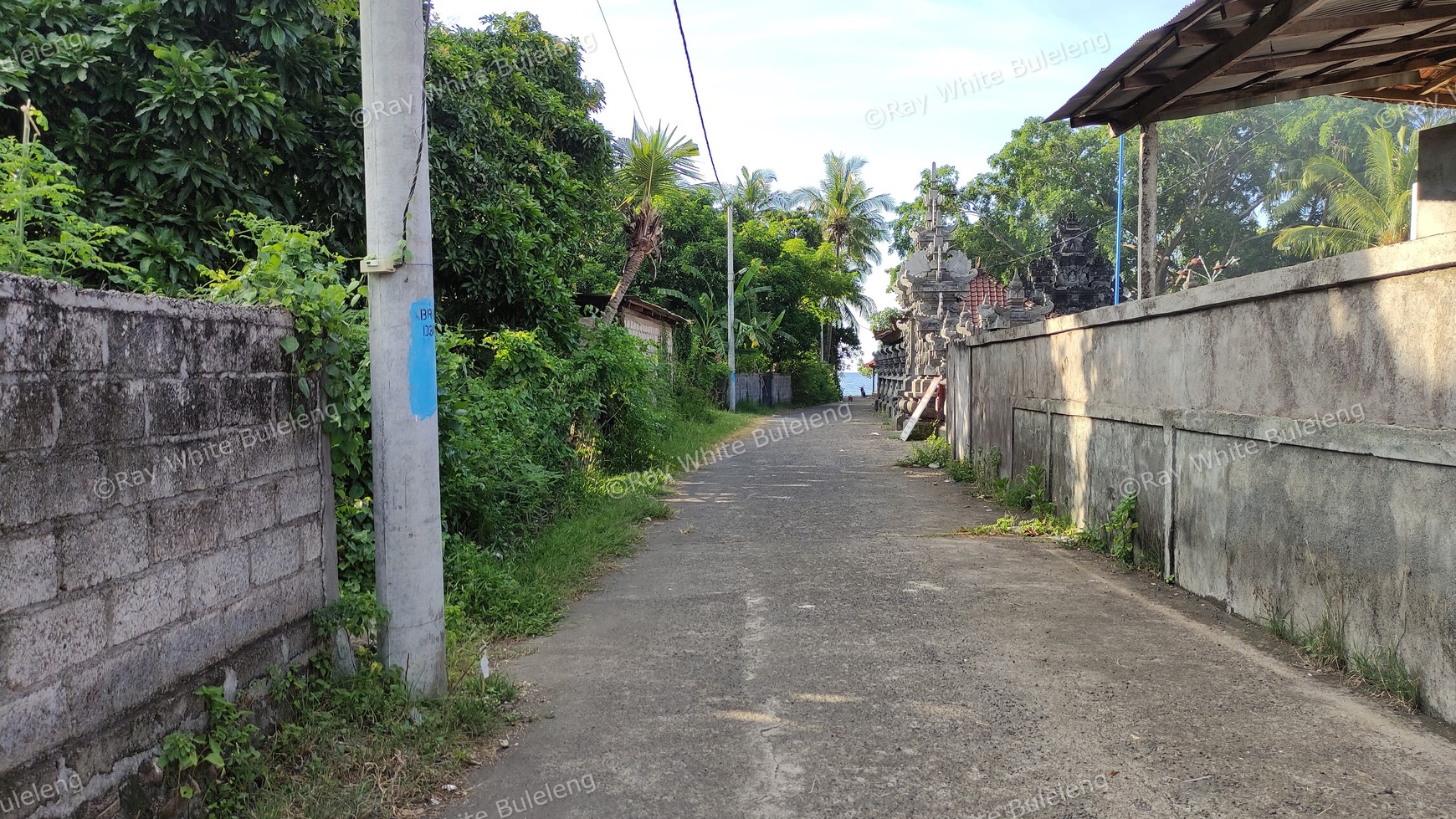 LAND FOR SALE IN LOVINA AREA
