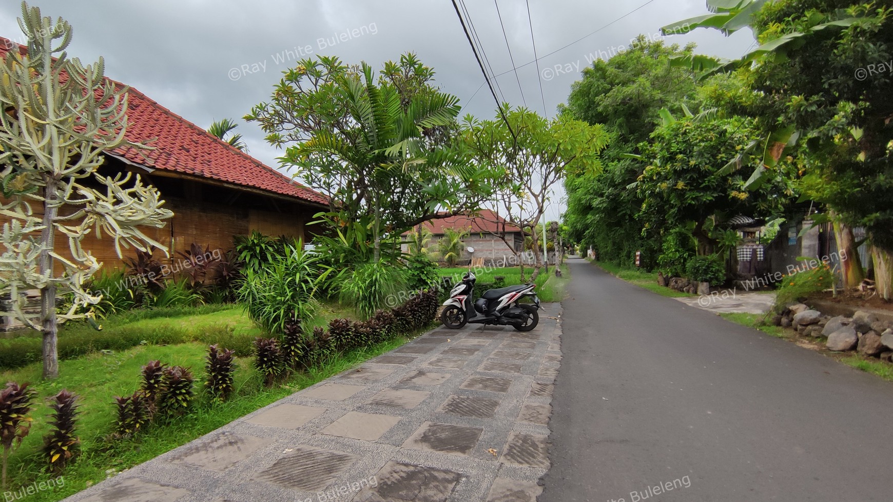 Popular Restaurant includes a house in Lovina Area