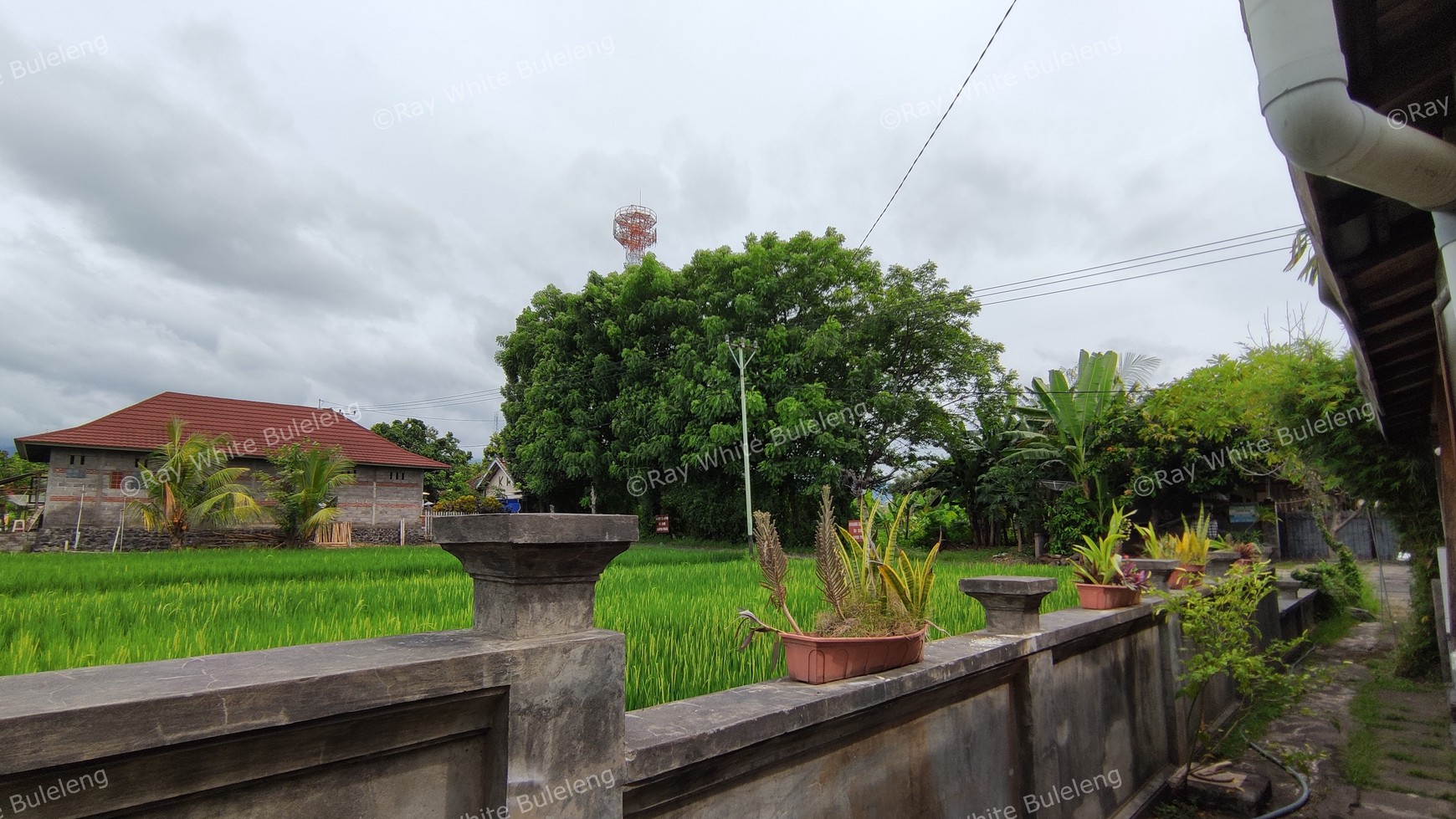 Popular Restaurant includes a house in Lovina Area