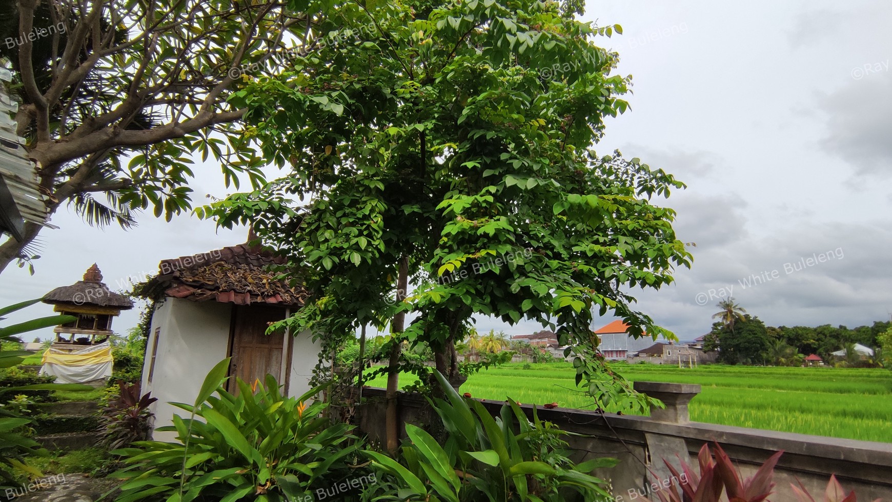 Popular Restaurant includes a house in Lovina Area