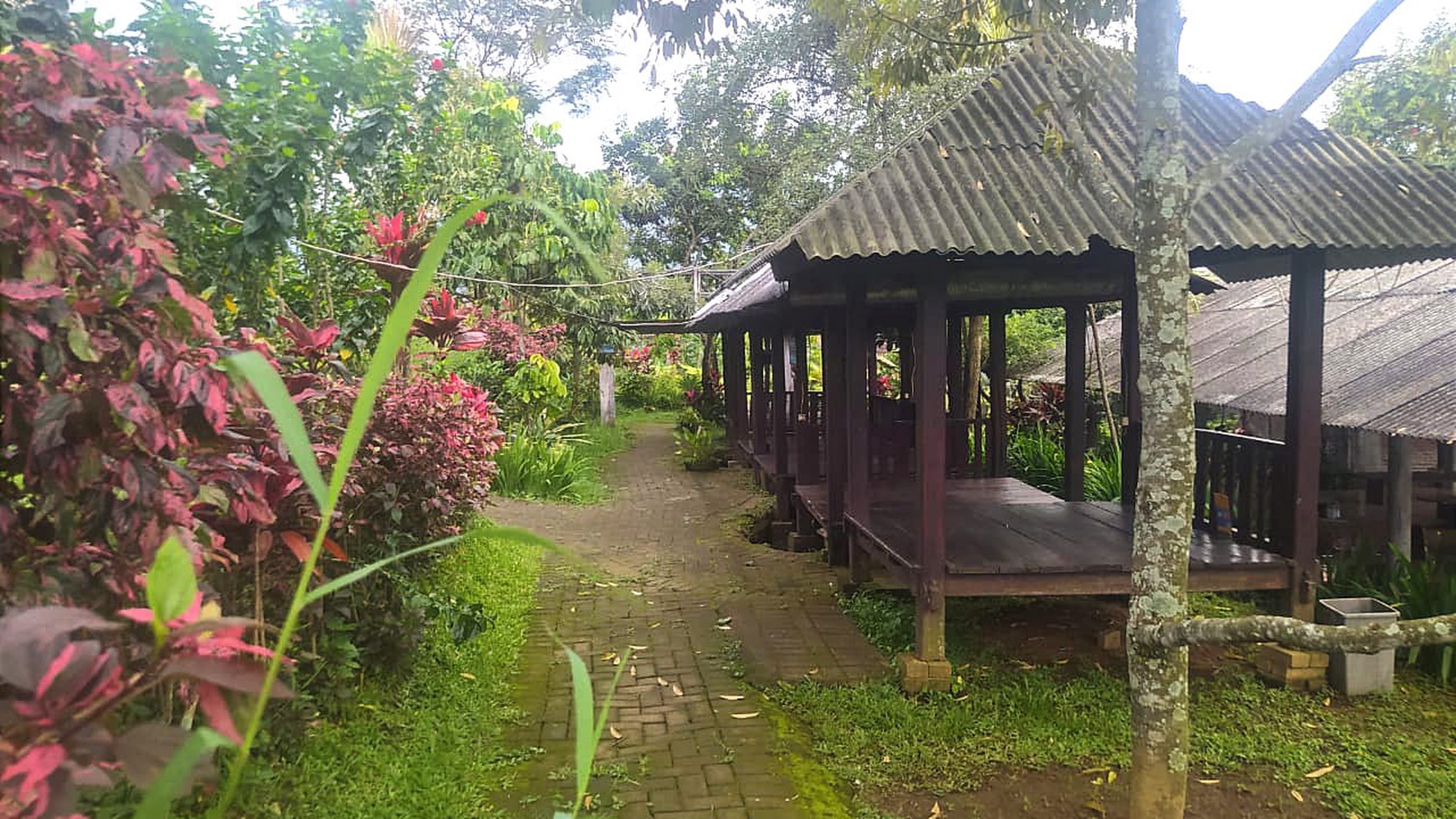 DIJUAL LAHAN USAHA KULINER, TRAWAS