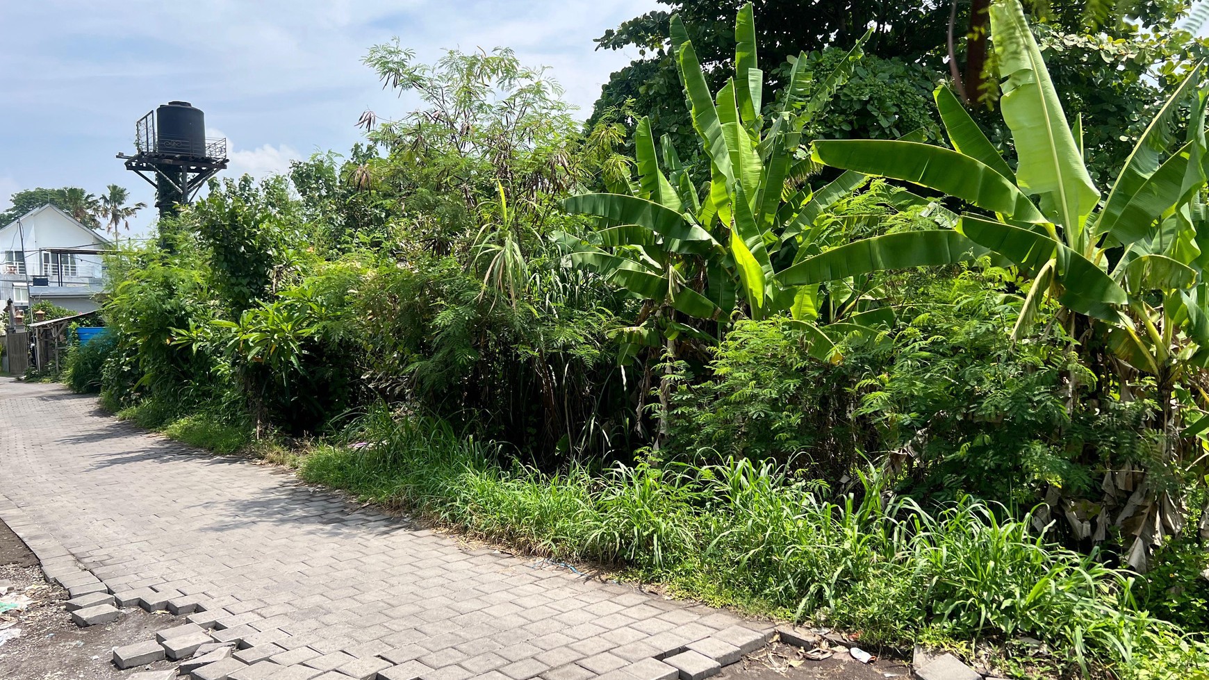 Freehold - Prime Land for Sale in Berawa, Canggu, Bali - Ideal for Villas or Investment