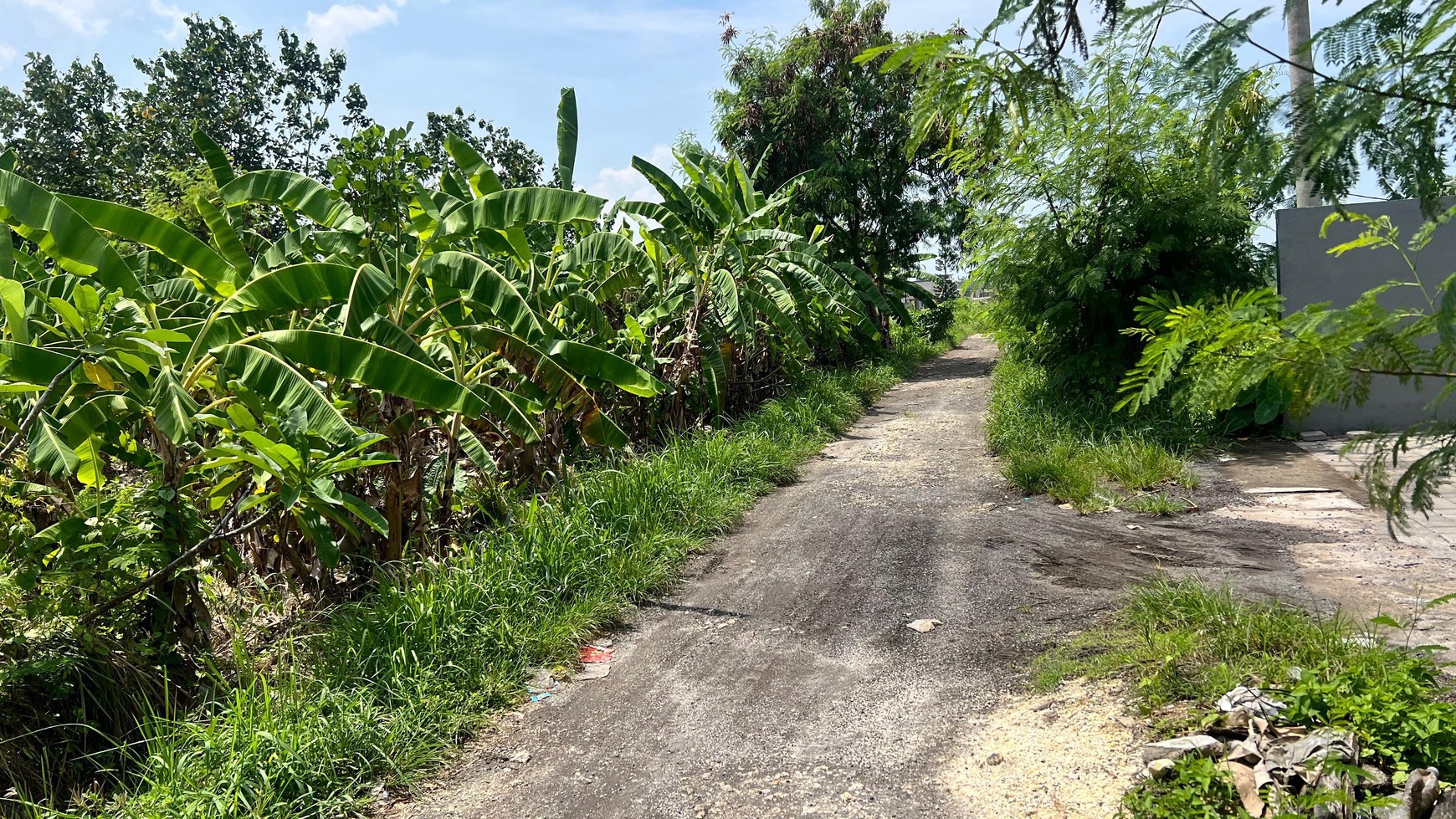 Freehold - Prime Land for Sale in Berawa, Canggu, Bali - Ideal for Villas or Investment