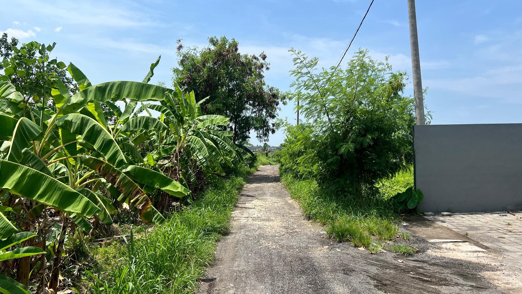 Freehold - Prime Land for Sale in Berawa, Canggu, Bali - Ideal for Villas or Investment