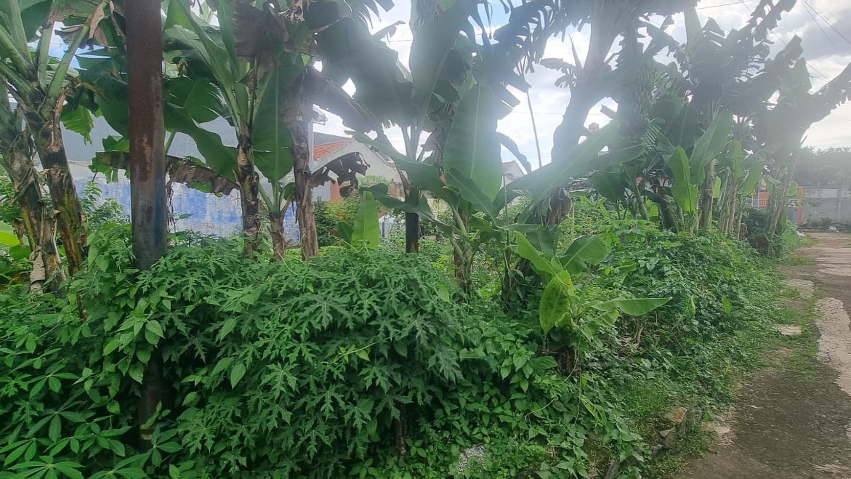 Dijual Tanah Siap Bangun di Perumahan Budi Indah