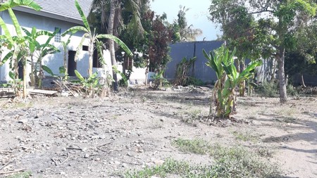 Plot of Land for Sale in Singaraja