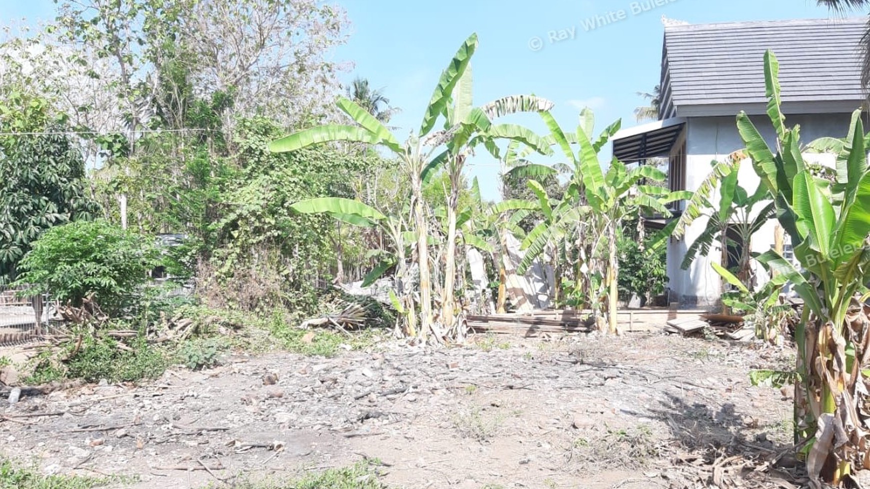Plot of Land for Sale in Singaraja