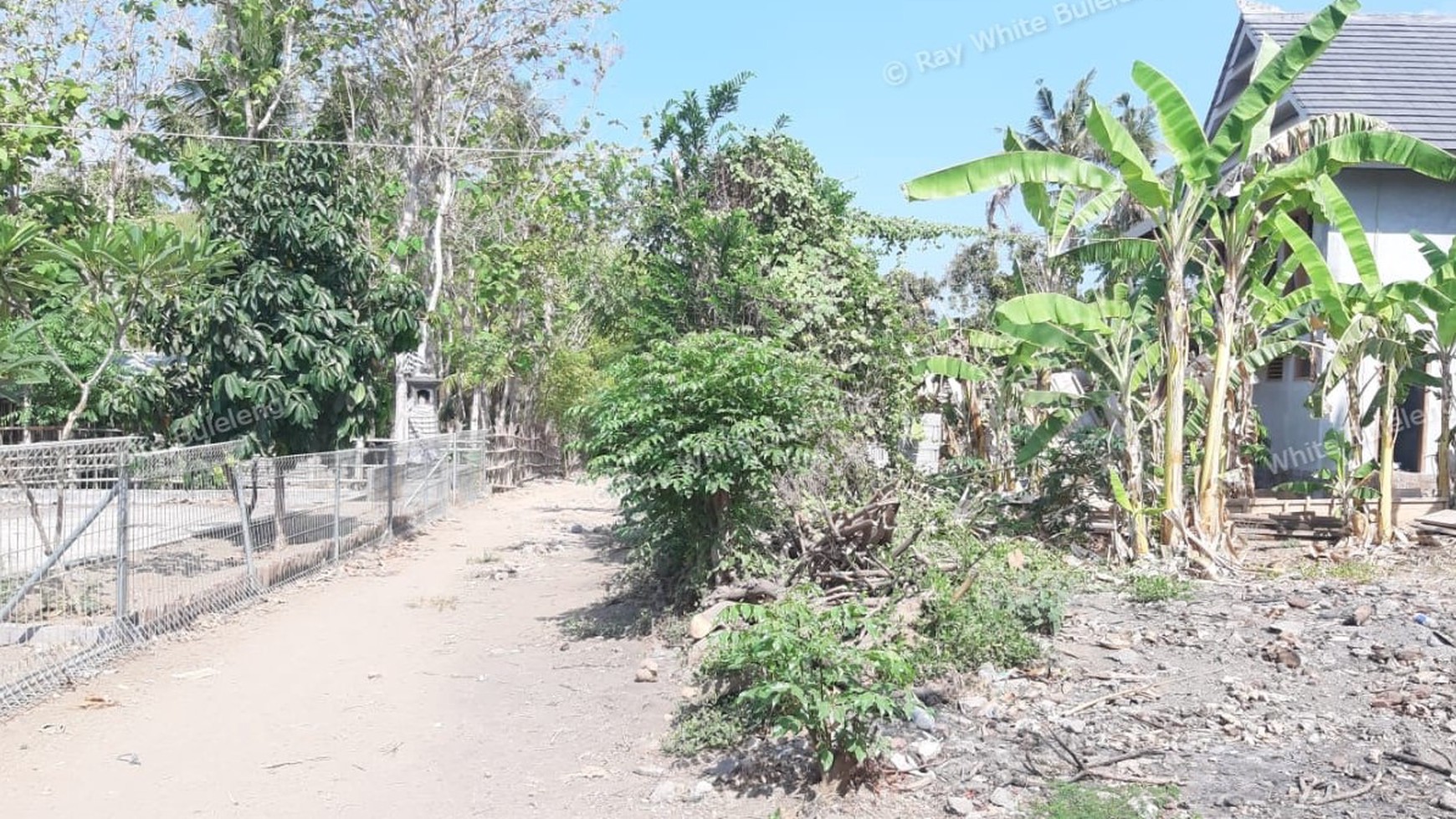 Plot of Land for Sale in Singaraja