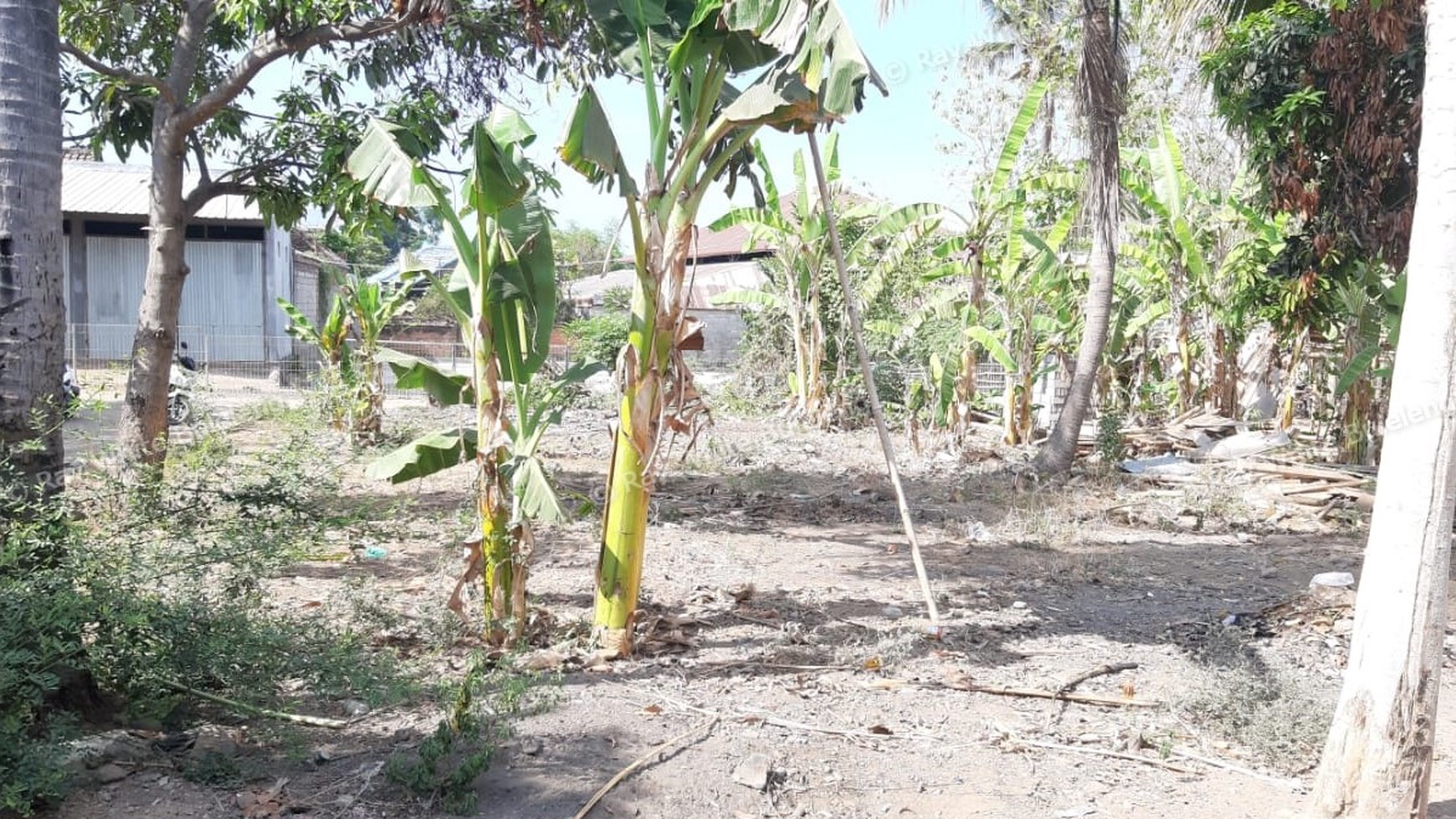 Plot of Land for Sale in Singaraja