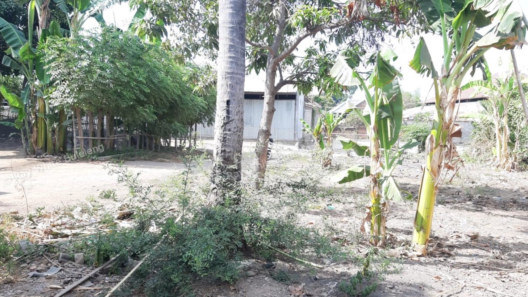 Plot of Land for Sale in Singaraja
