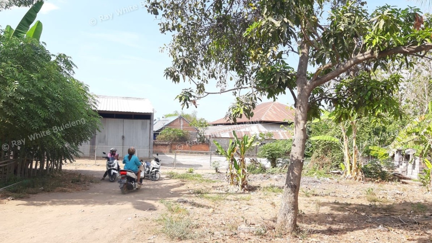 Plot of Land for Sale in Singaraja