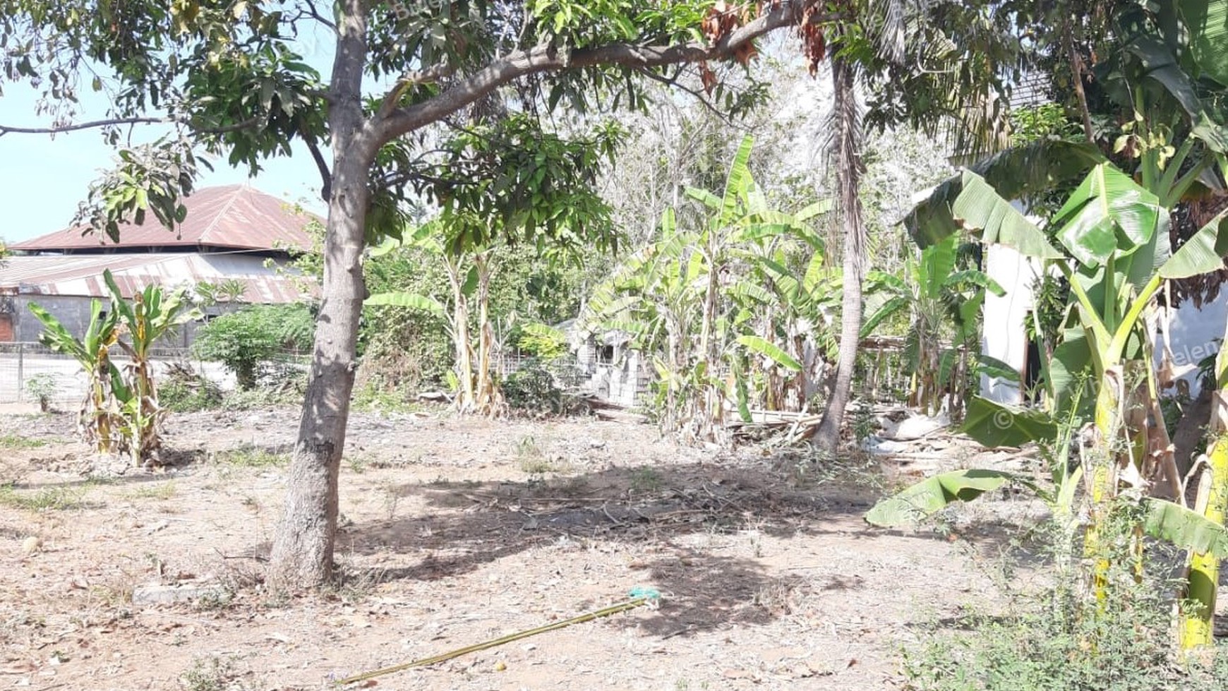 Plot of Land for Sale in Singaraja