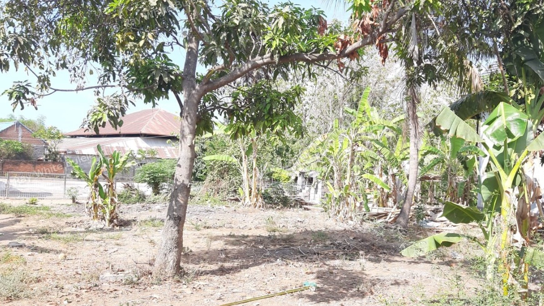 Plot of Land for Sale in Singaraja
