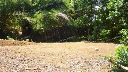 LAND FOR SALE IN LOVINA