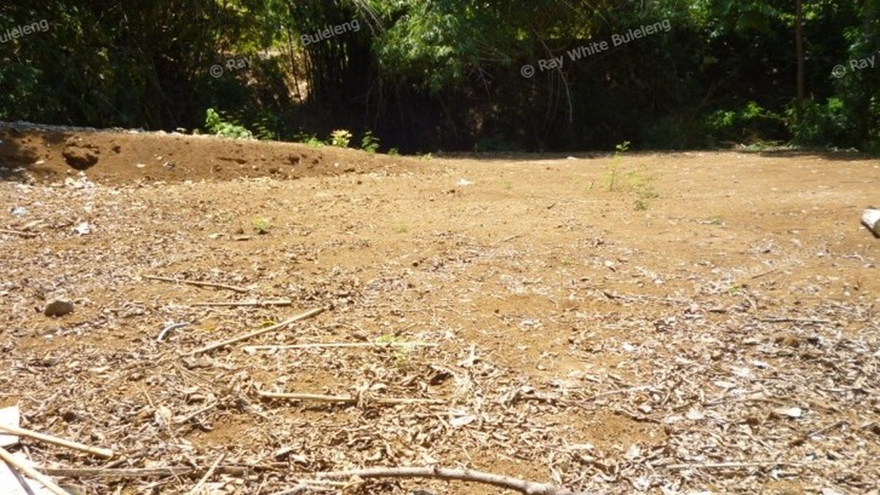 LAND FOR SALE IN LOVINA