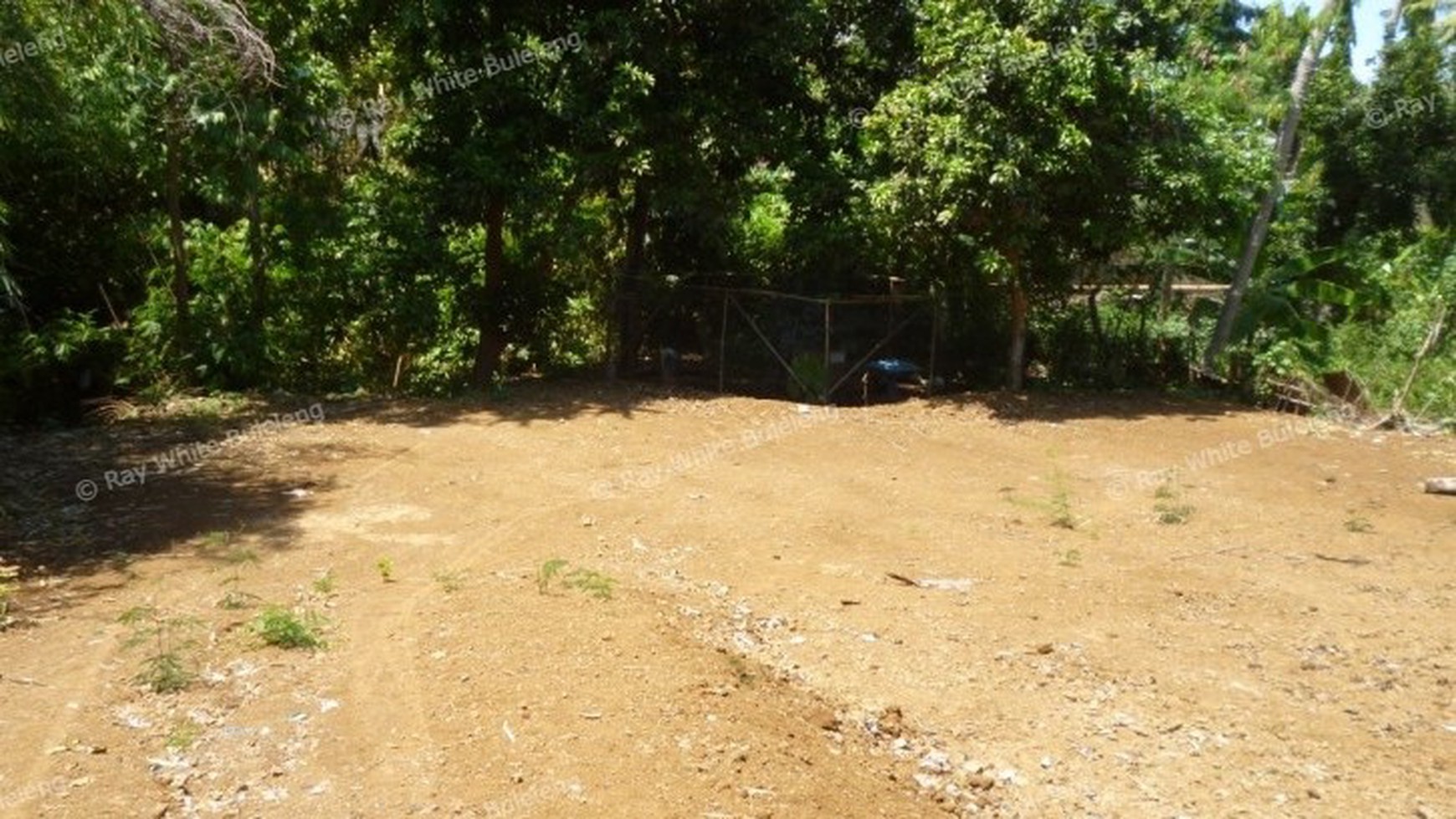 LAND FOR SALE IN LOVINA
