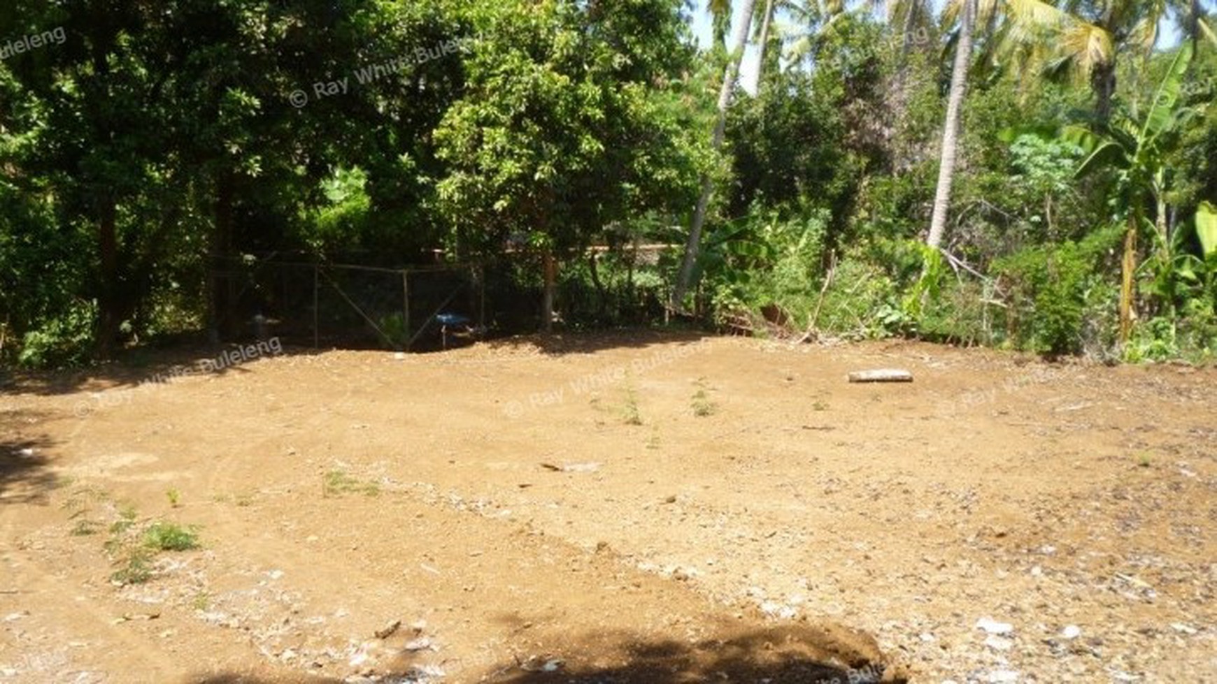 LAND FOR SALE IN LOVINA