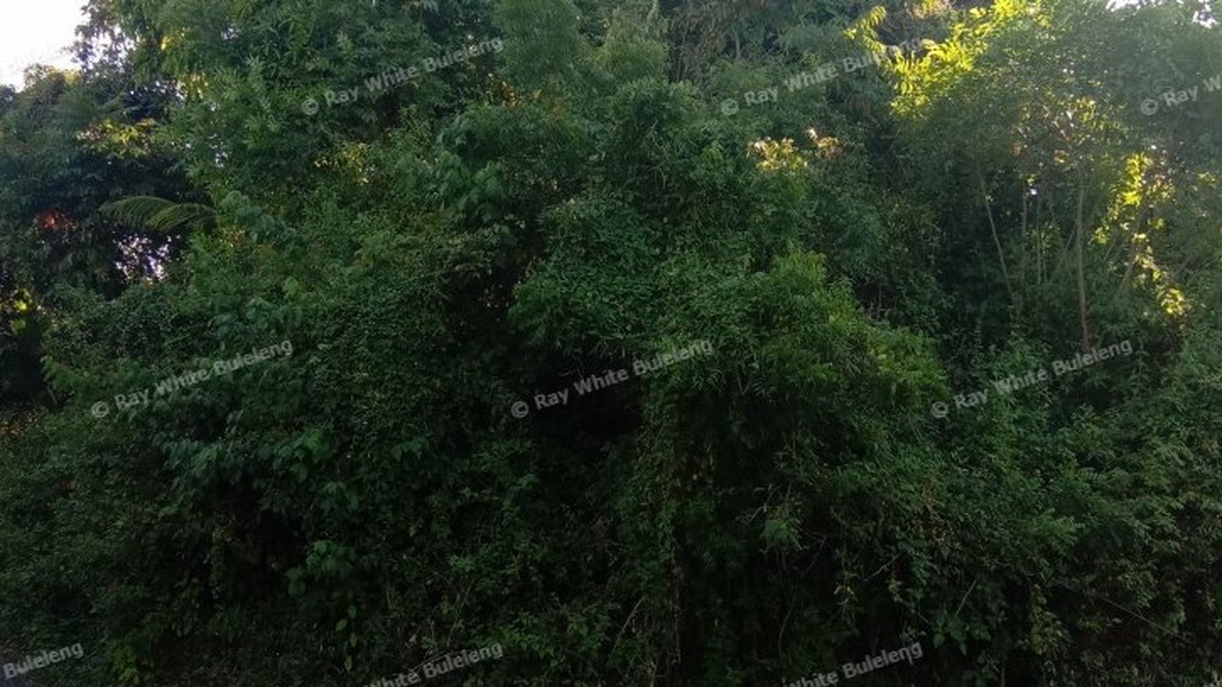 Ocean View Land For Sale