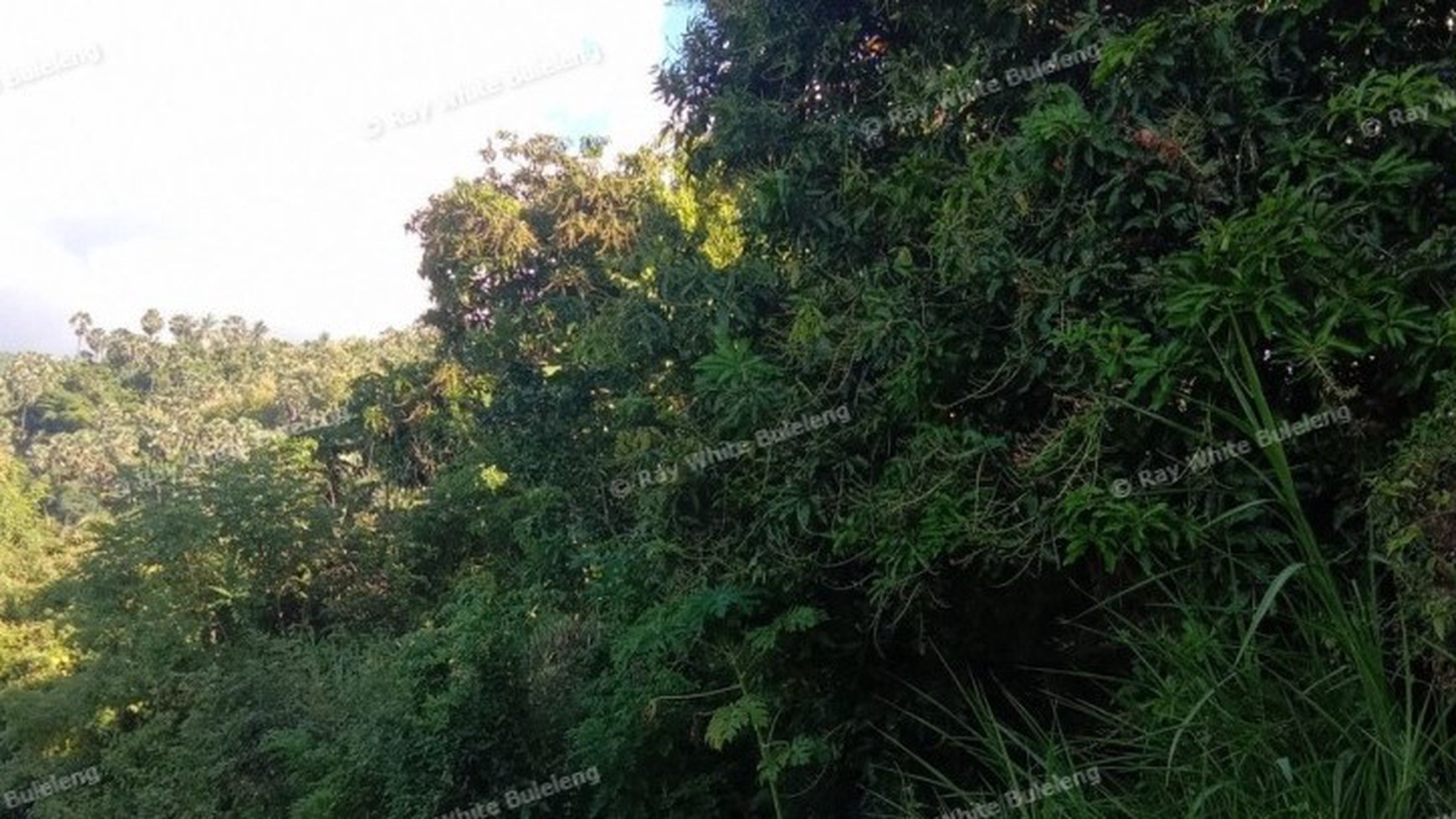 Ocean View Land For Sale