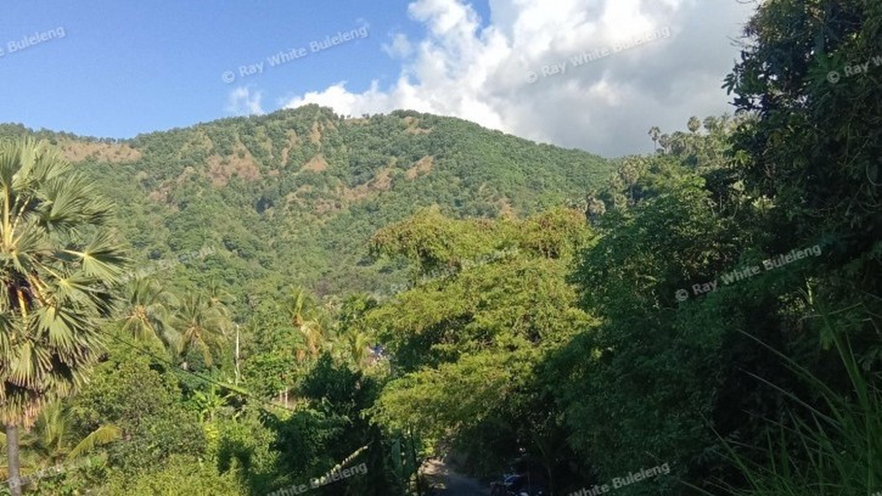 Ocean View Land For Sale