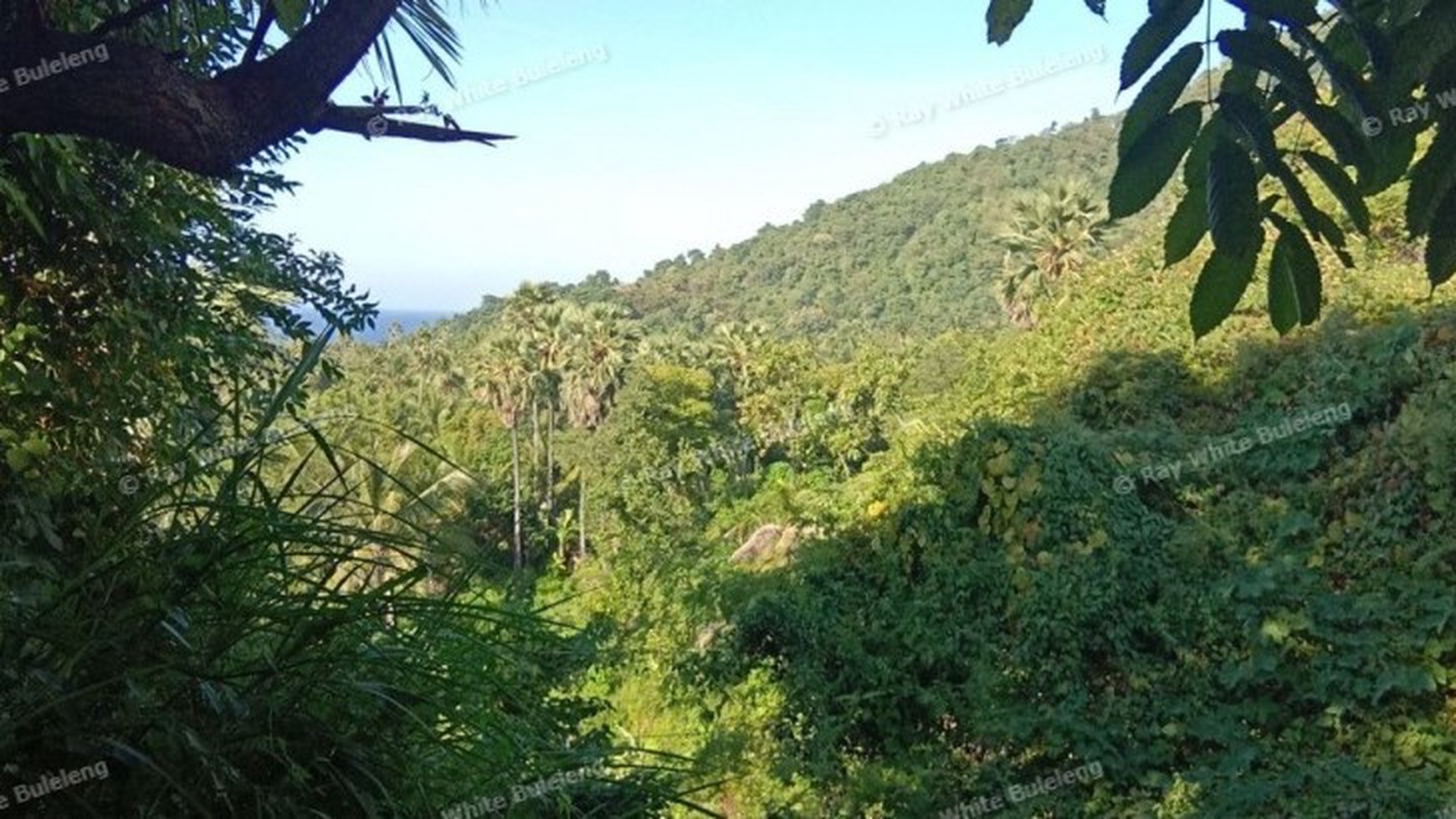 Ocean View Land For Sale