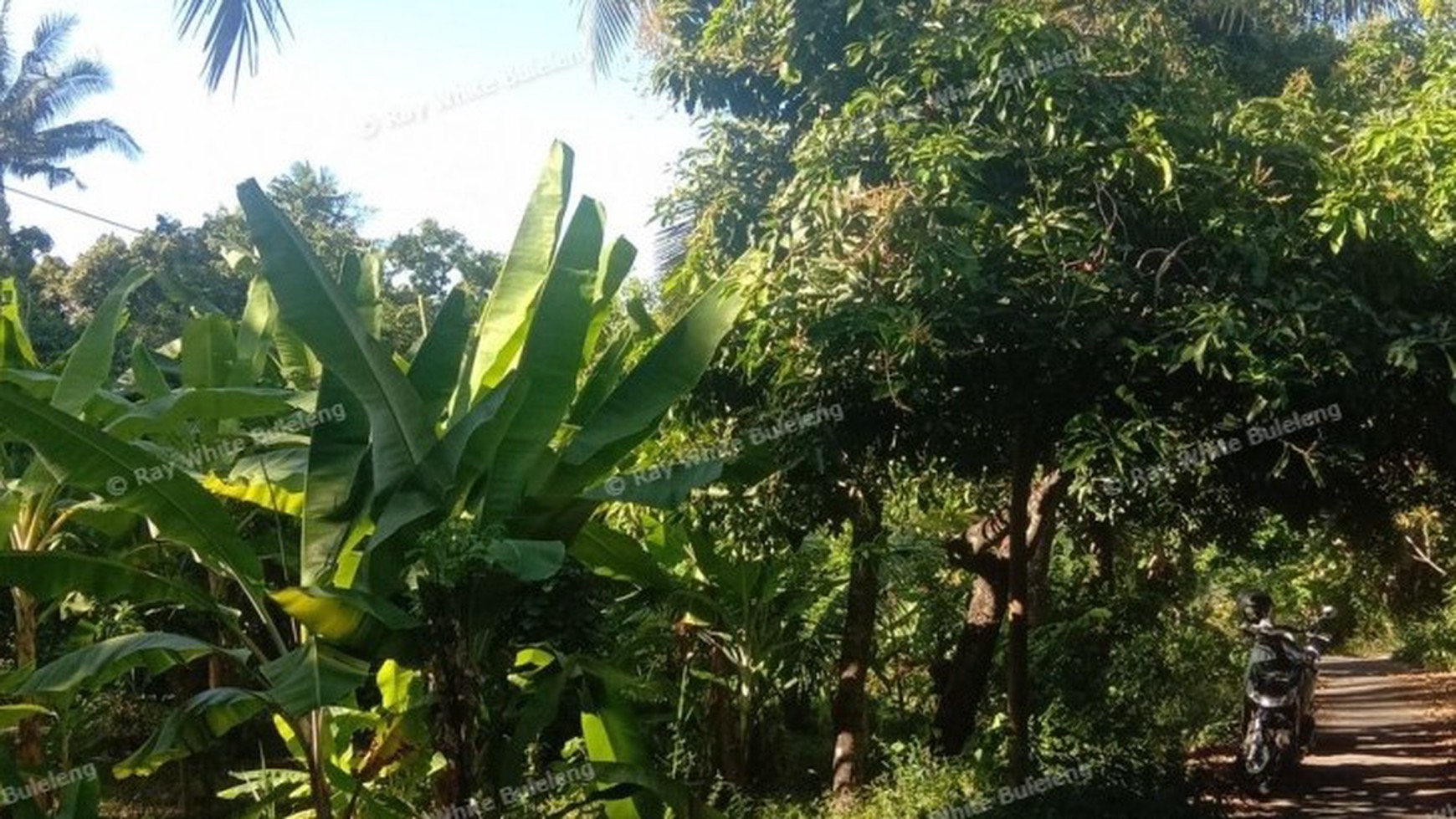 Ocean View Land For Sale
