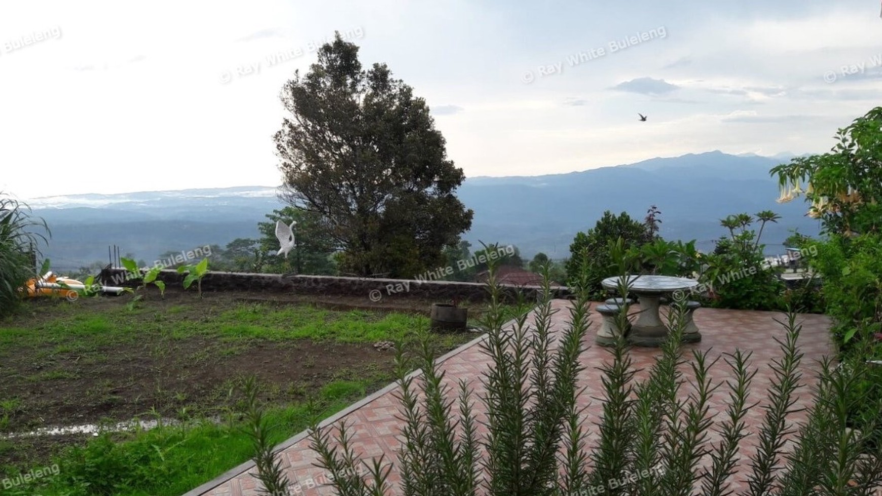 Price Dropped From 1,360,000,000,- To IDR 1,080,000,000,-. Freehold Land (With IMB) For Sale (+Bonus Guesthouse)