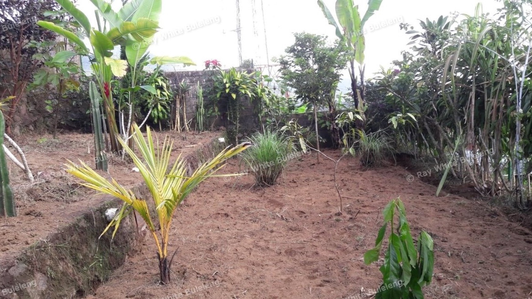 Price Dropped From 1,360,000,000,- To IDR 1,080,000,000,-. Freehold Land (With IMB) For Sale (+Bonus Guesthouse)