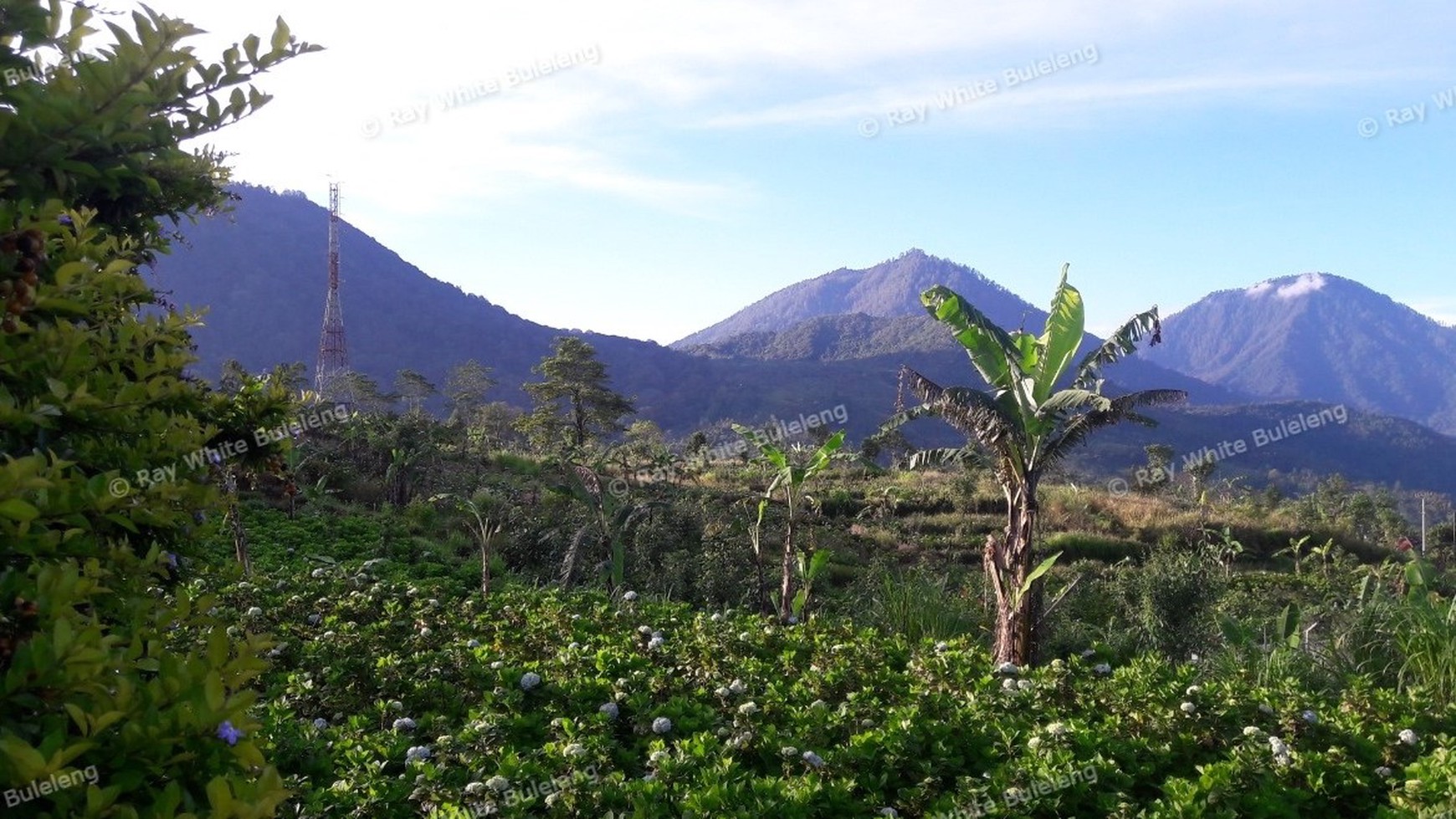 Price Dropped From 1,360,000,000,- To IDR 1,080,000,000,-. Freehold Land (With IMB) For Sale (+Bonus Guesthouse)