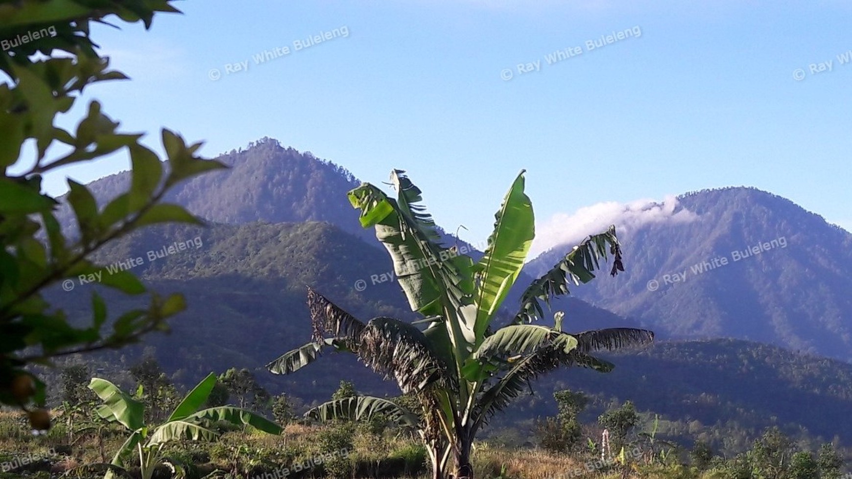Price Dropped From 1,360,000,000,- To IDR 1,080,000,000,-. Freehold Land (With IMB) For Sale (+Bonus Guesthouse)