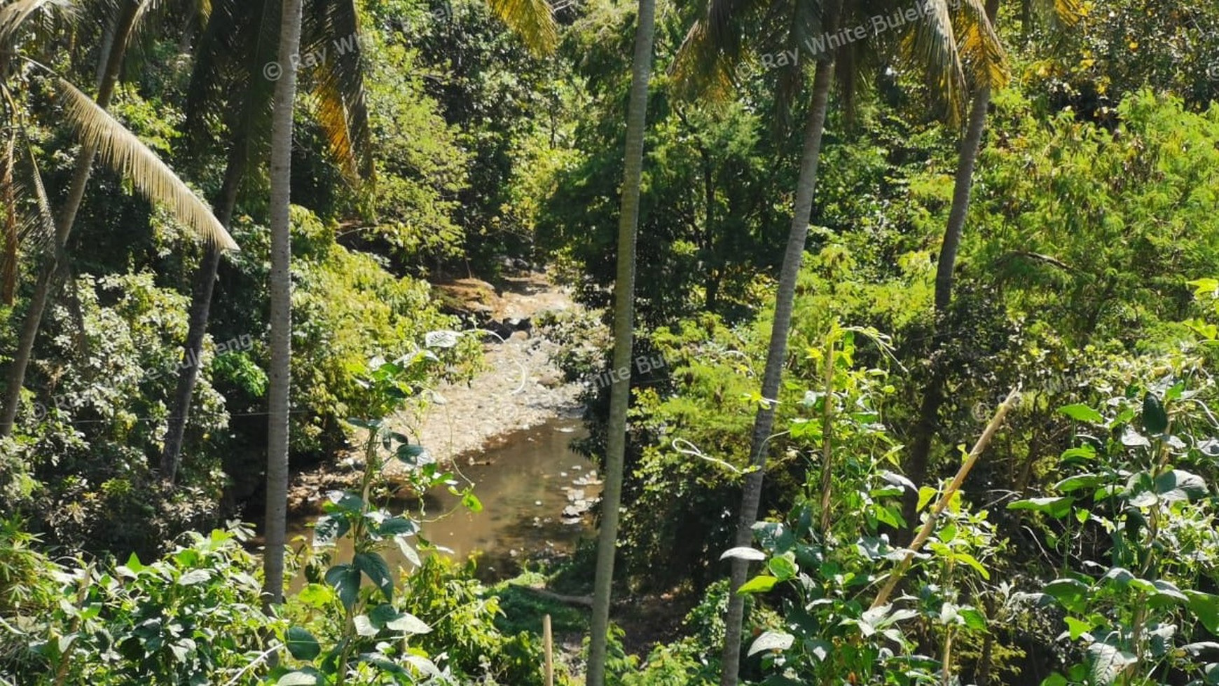 25.570 Sqm Land Freehold in Mayong, Buleleng