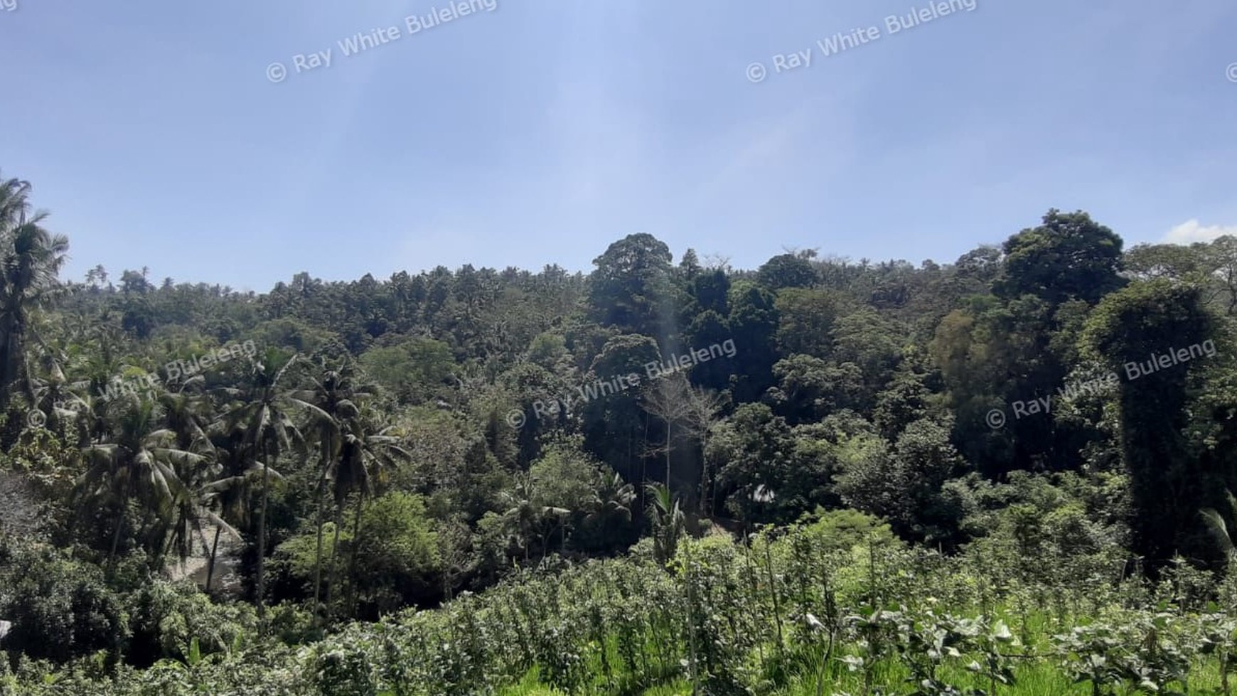 25.570 Sqm Land Freehold in Mayong, Buleleng