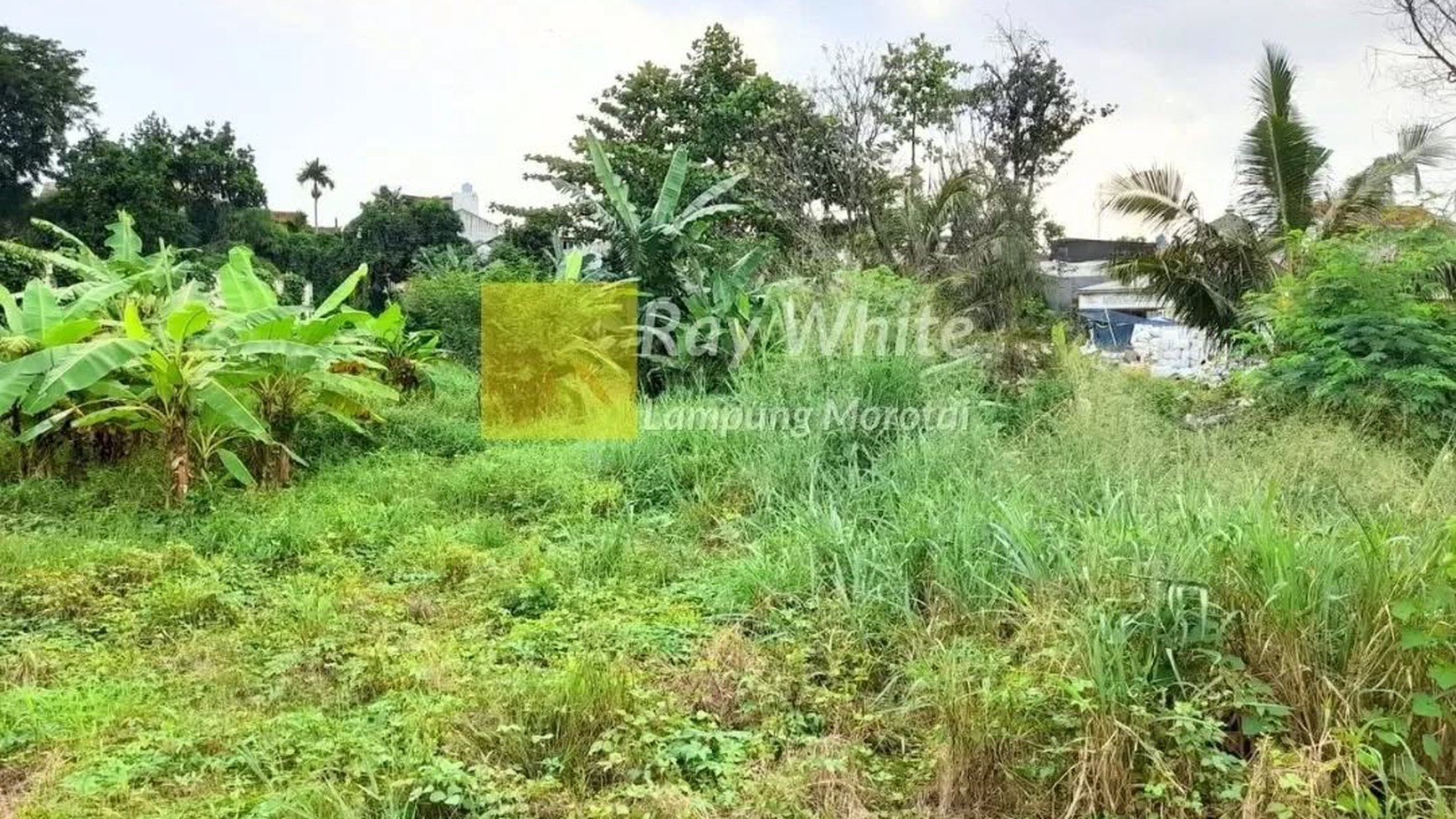 Dijual Tanah Luas 2628 Strategis di Pusat Kota