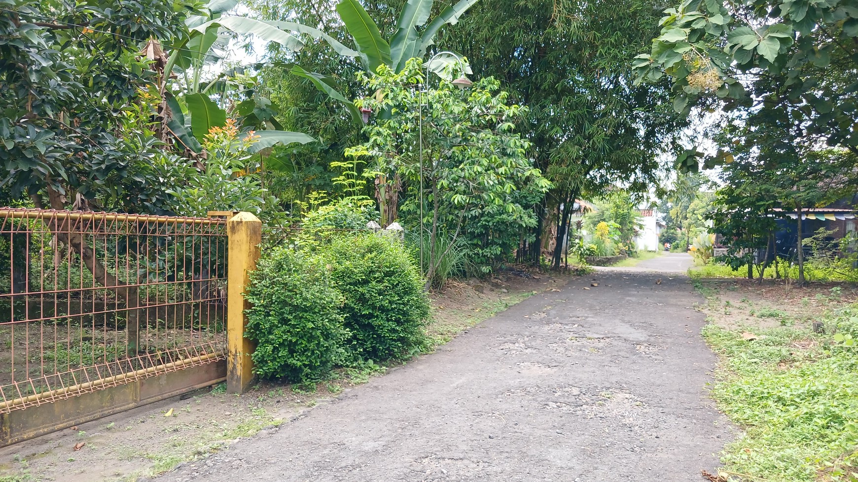Rumah Tinggal Dengan Lingkungan Asri Dekat Candi Prambanan Tamanmartani Kalasan Sleman