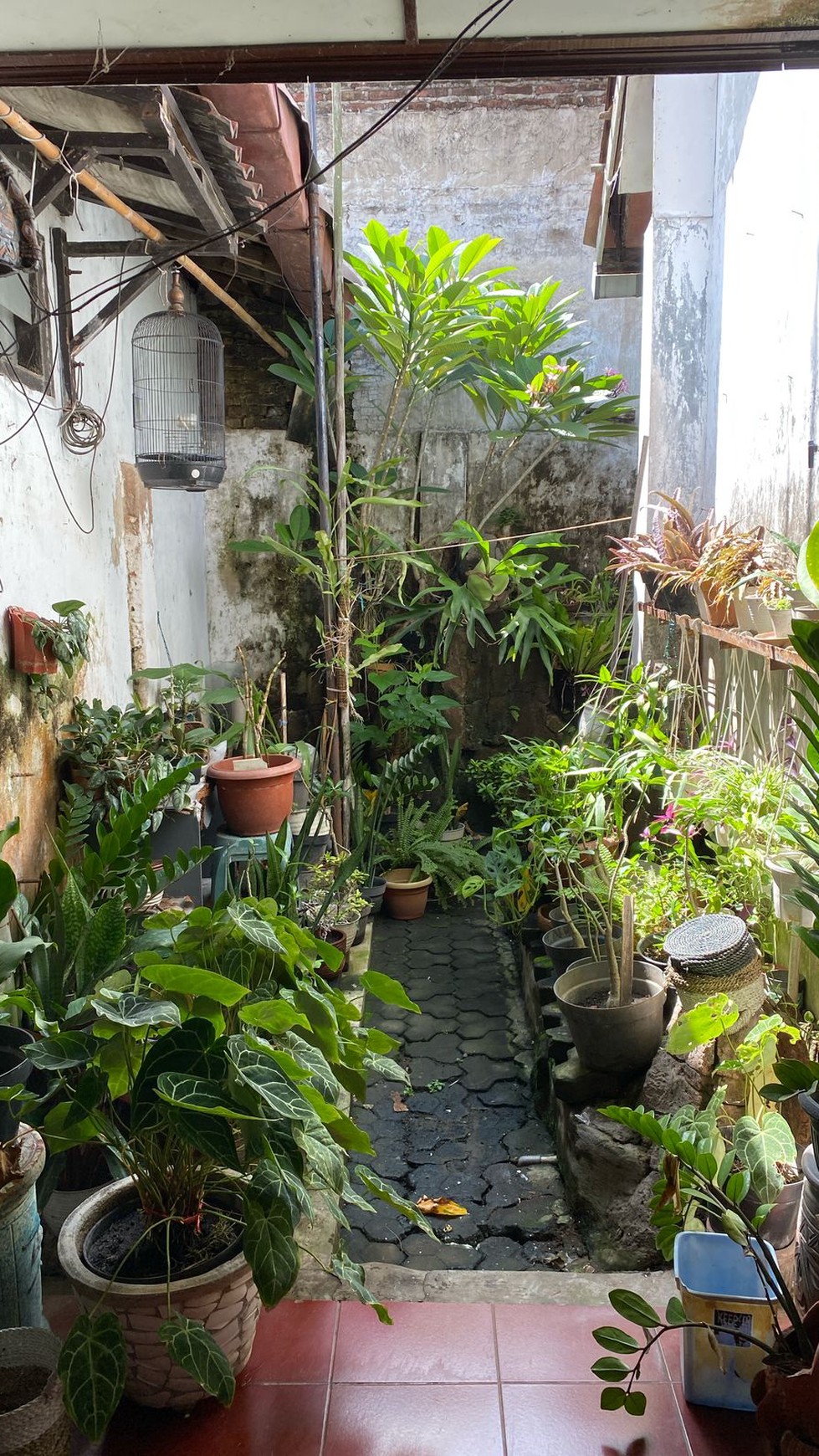 Tanah Bangunan 347 Meter Persegi Lokasi Dekat Xt Square