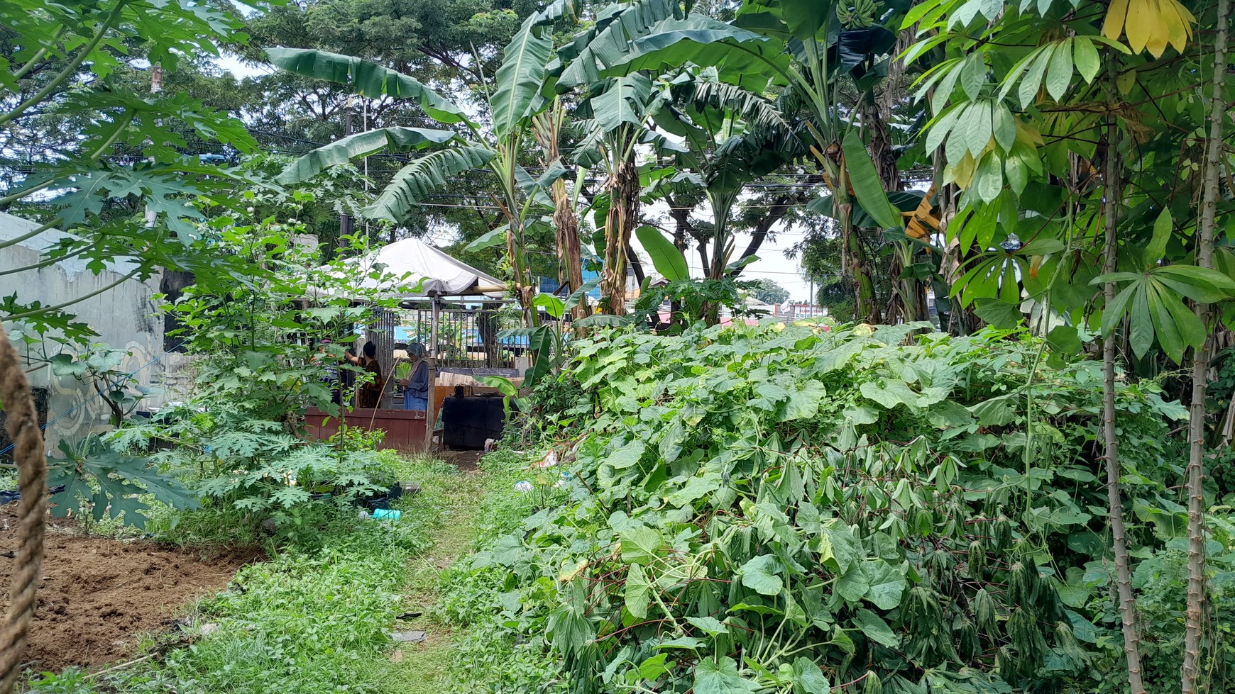 Kavling Siap Bangun Di Jl Kampung Melayu Kecil Jakata Timur