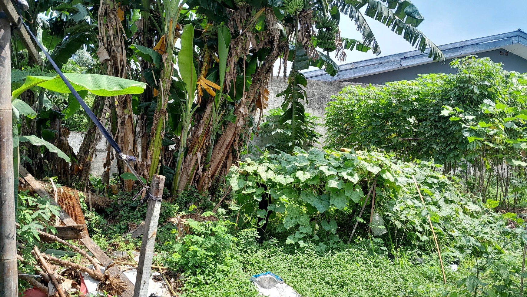 Kavling Siap Bangun Di Jl Kampung Melayu Kecil Jakata Timur