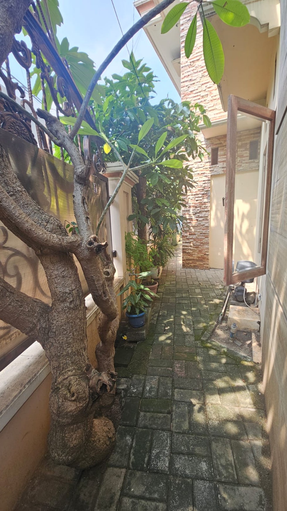 Rumah 2 Lantai Petojo Sabangan 